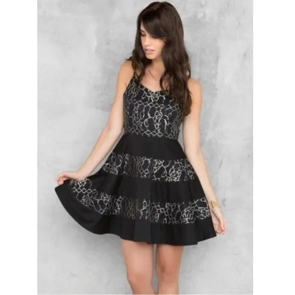 Francesca's Collections | Dresses | Francescas Annabella Black Gold Lace  Aline Dress | Poshmark